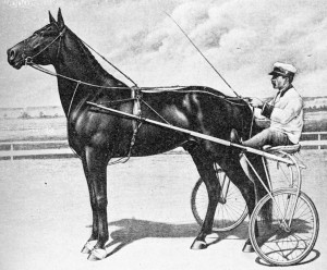 A Fast Tratter (Dan Patch)