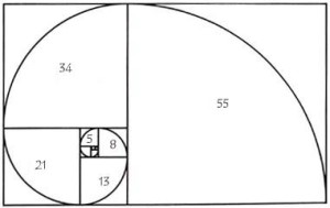 Fibonacci spiral - Copy