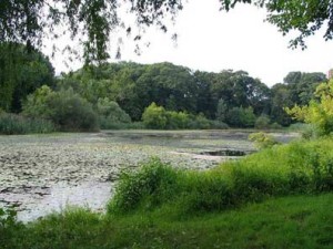 Oakland Lake