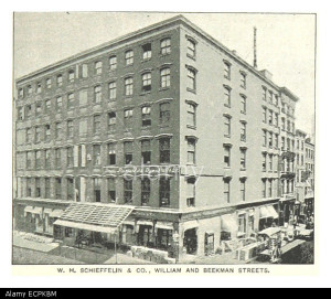 ECPKBM (King1893NYC) pg917 W. H. SCHIEFFELIN & CO., WILLIAM AND BEEKMAN STREETS