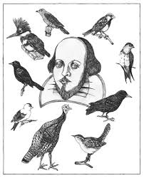 Shakespeare and birds