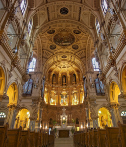 St Franis Xavier Int