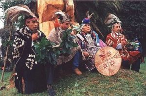 mapuches